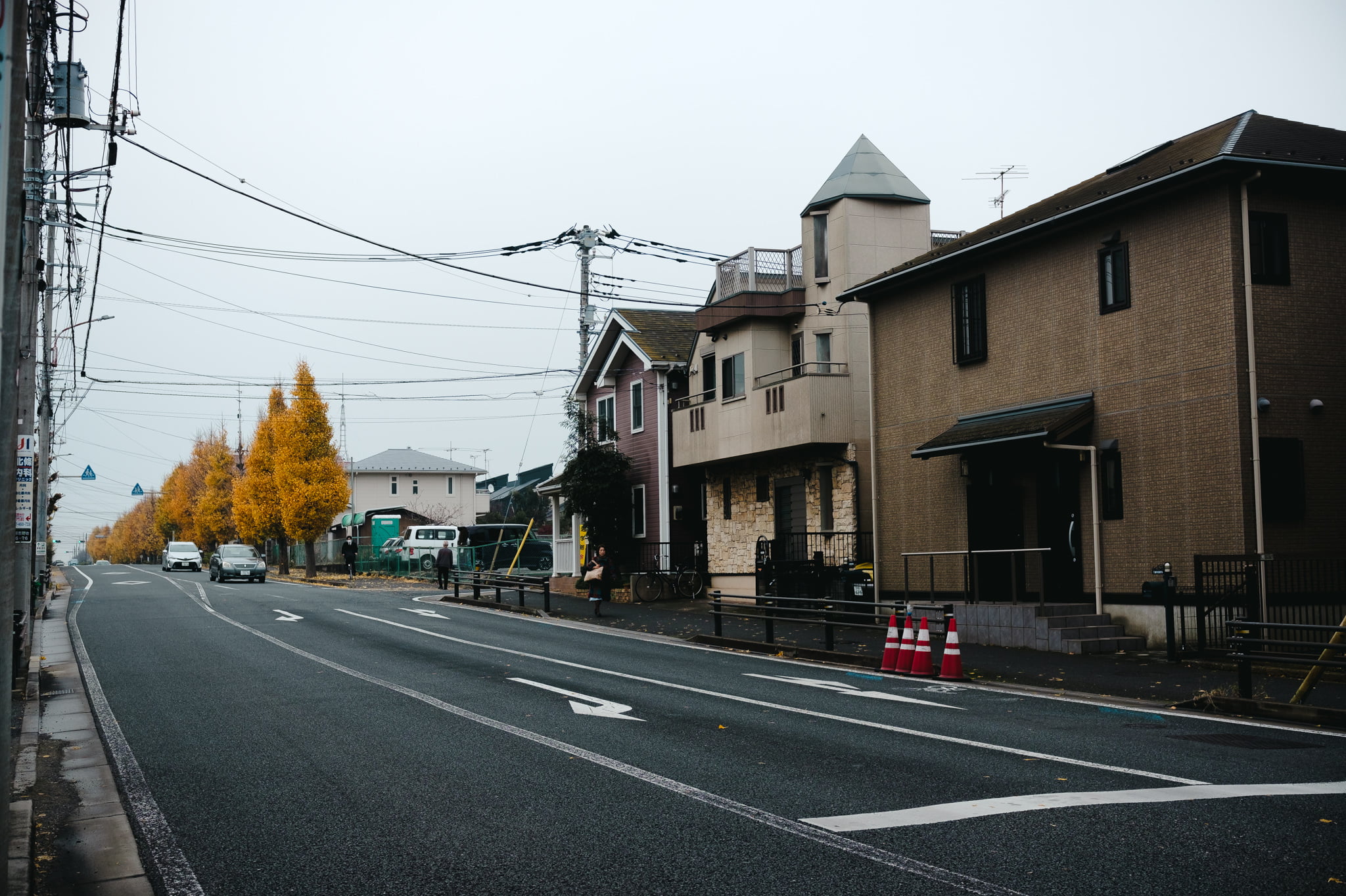A quiet Japanese suburban street with autumn ginkgo trees and residential houses on an overcast day.