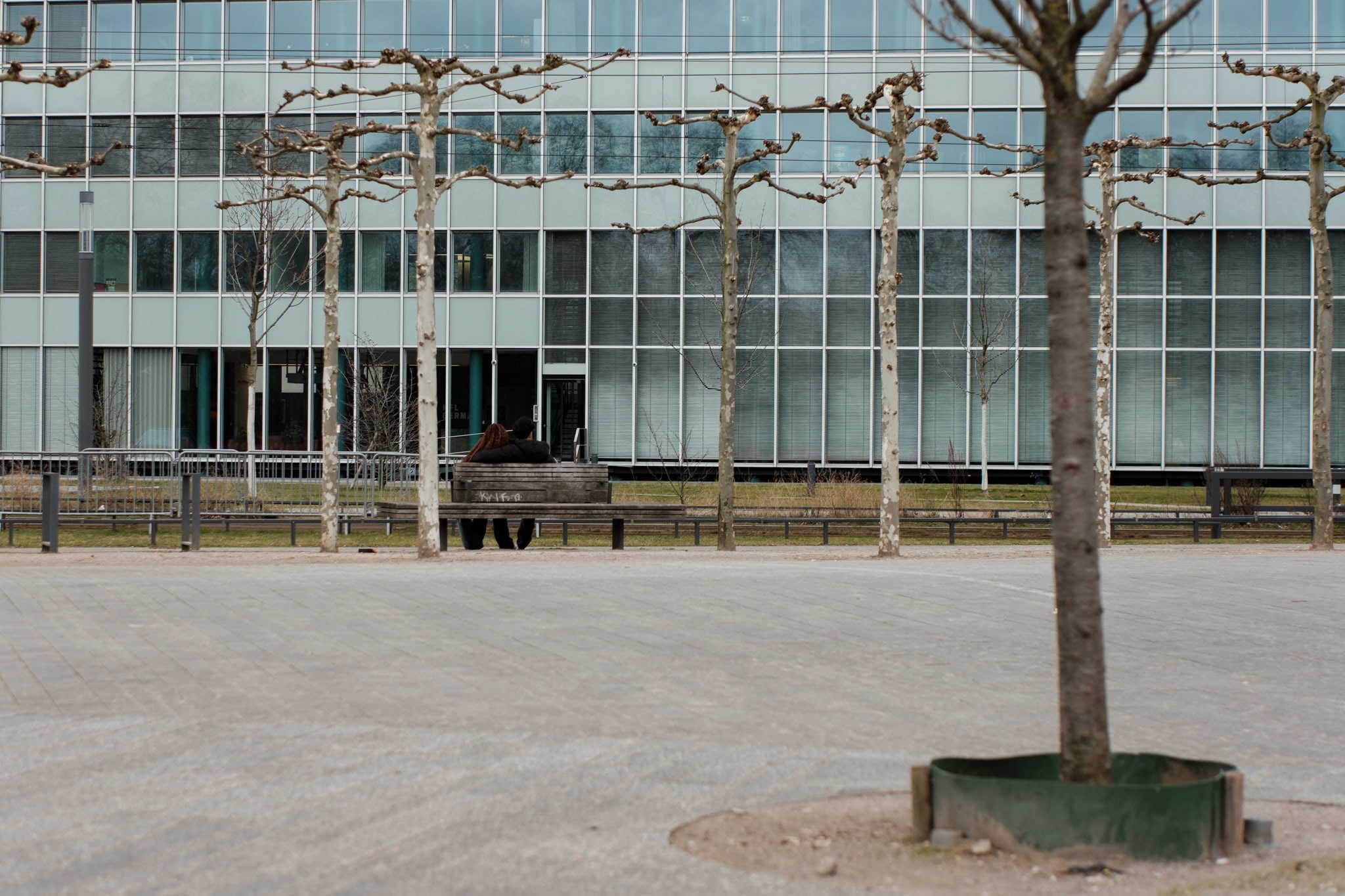 A couple sits on a wooden park bench in front of a modern glass office building with rows of pruned trees.