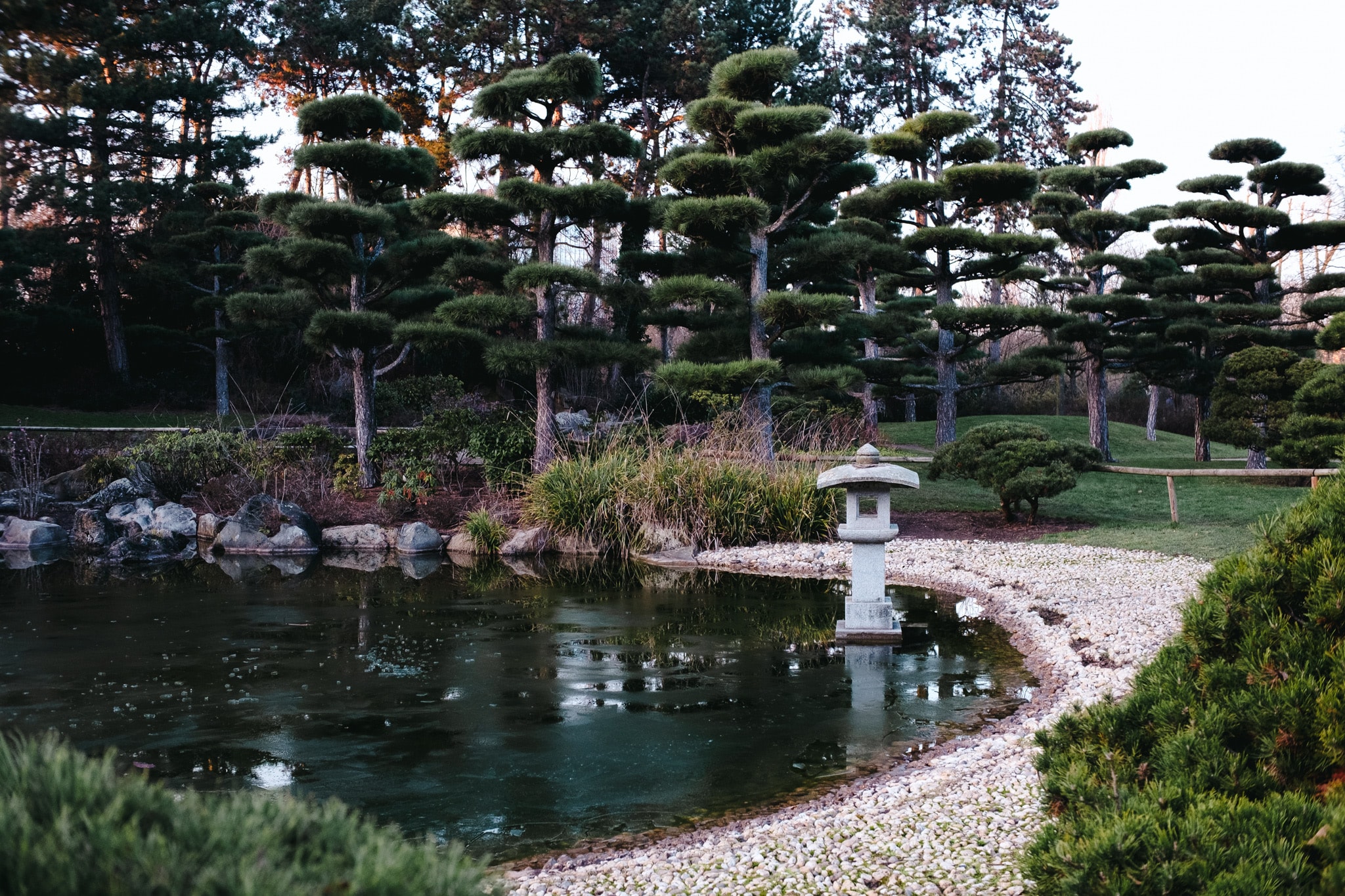 Stone lantern in a tranquil Japanese garden pond surrounded by manicured pine trees.