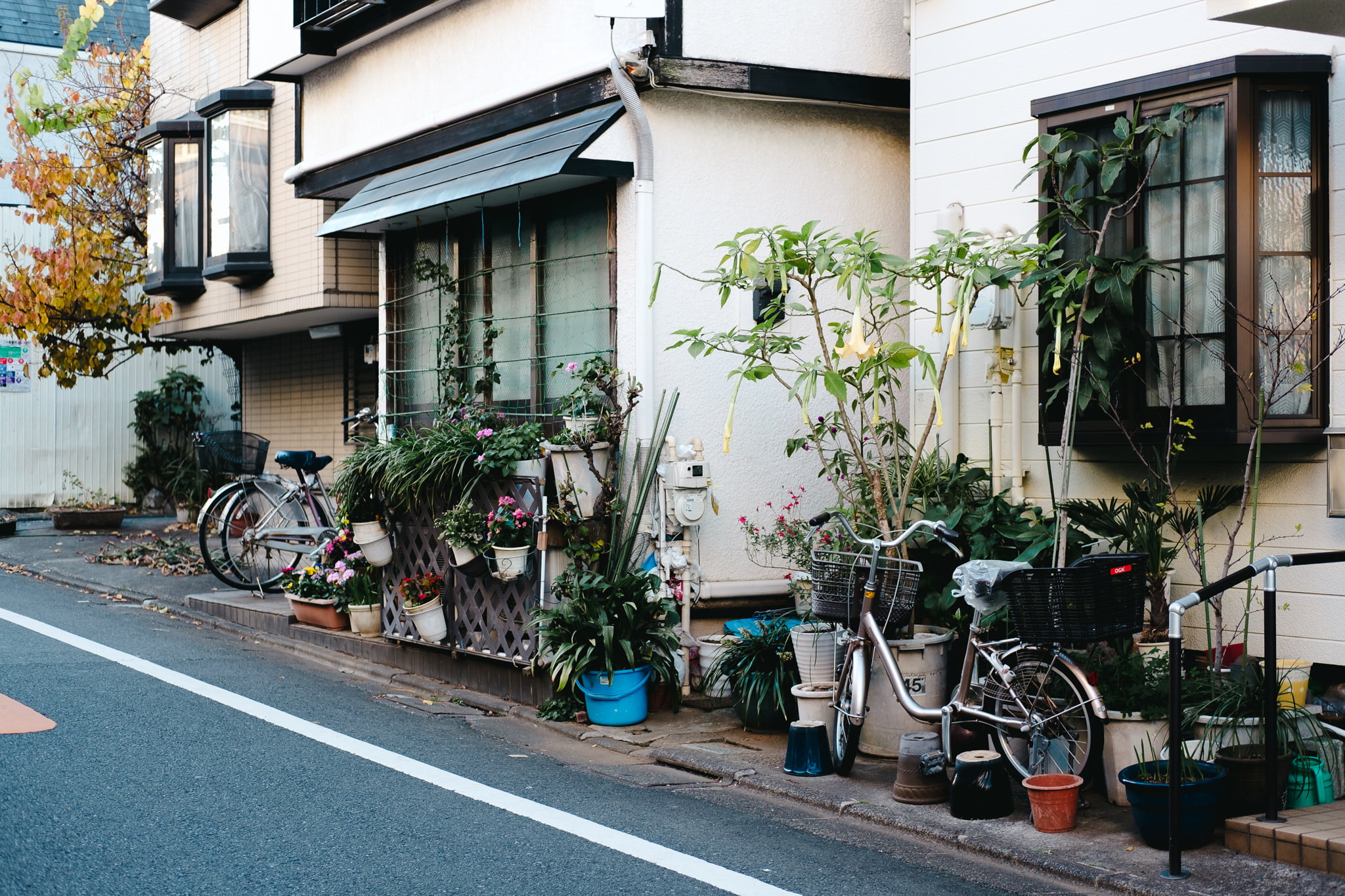 A collection of potted plants and two bicycles resting against the exterior wall of a residential house in Japan.