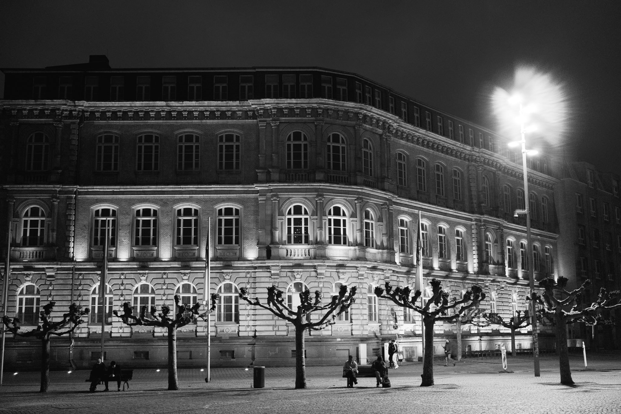 monochrome night view of a historic european building with pollarded trees