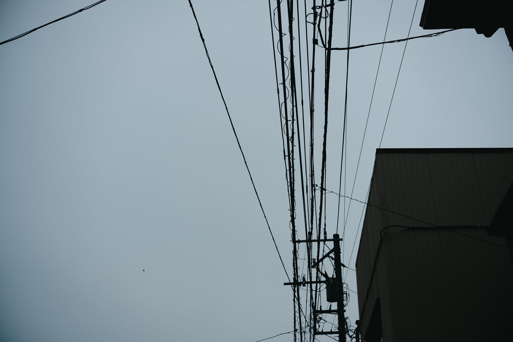 A low-angle view of power lines crisscrossing a grey, overcast sky beside the silhouette of a building.
