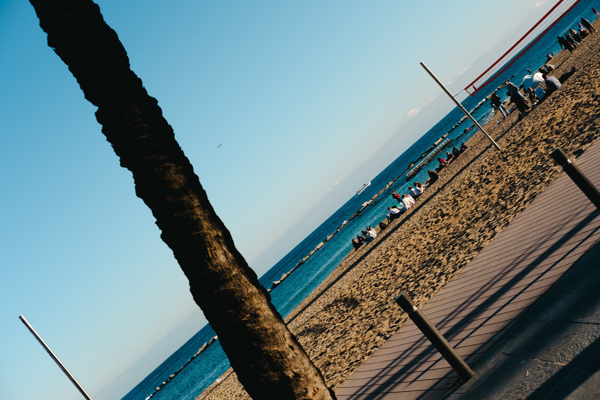 Tilted view of a sunny beach with a large palm tree trunk in the foreground, people on the sand, and a volleyball net in the distance.