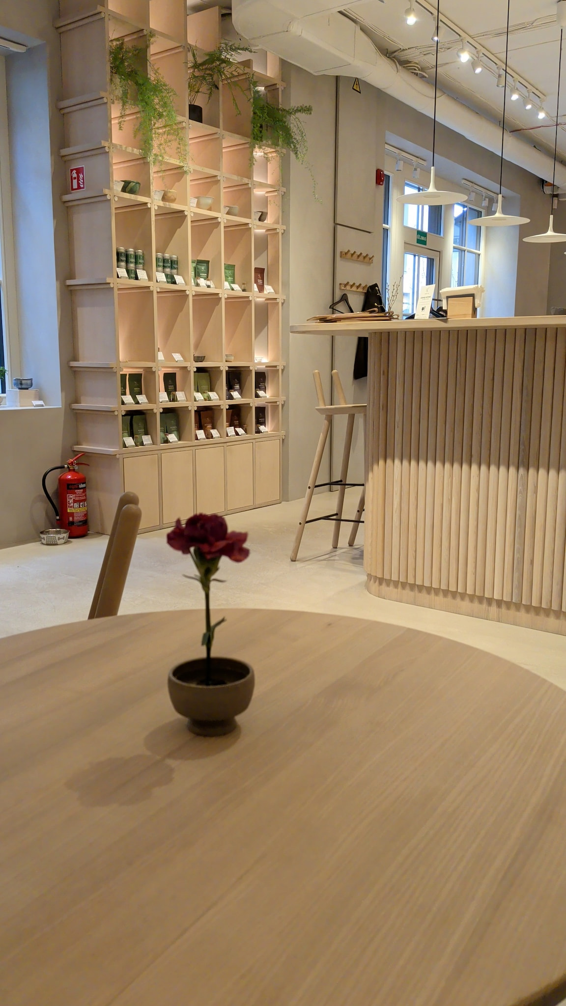 Modern cafe interior with light wooden furniture, retail display, and potted flower on a table.