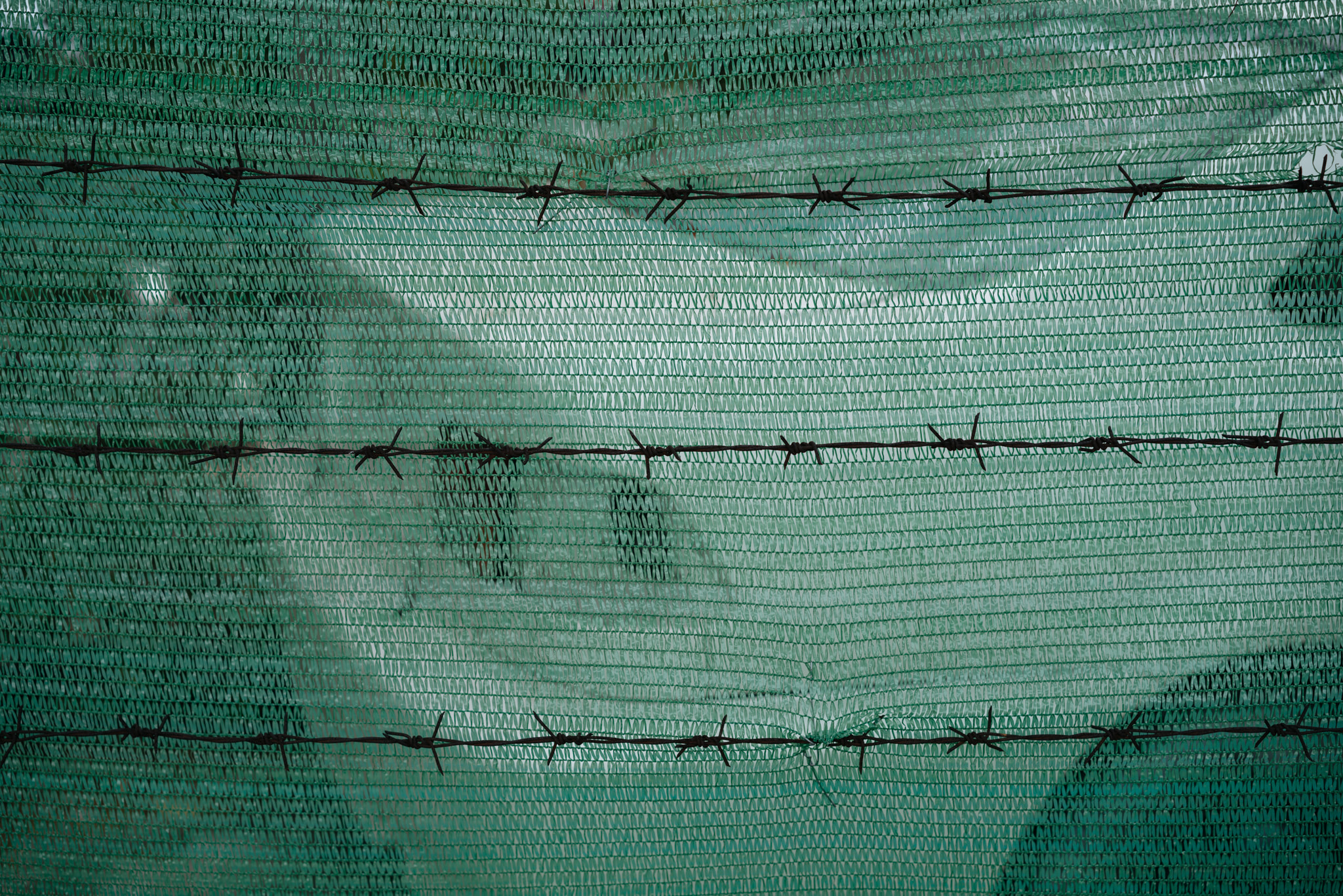 Barbed wire strung across green mesh netting