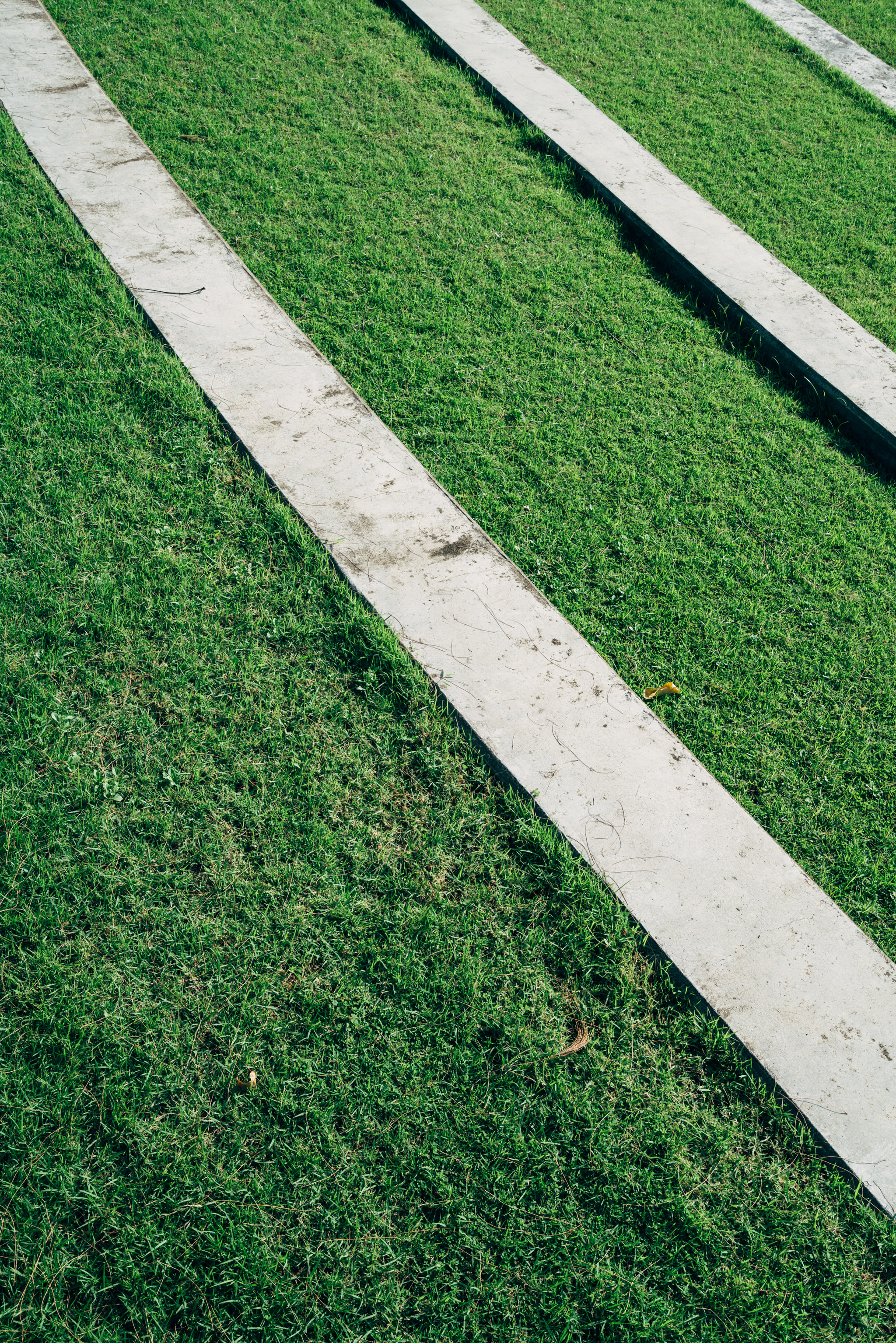 Concrete paths cutting through green lawn in diagonal pattern