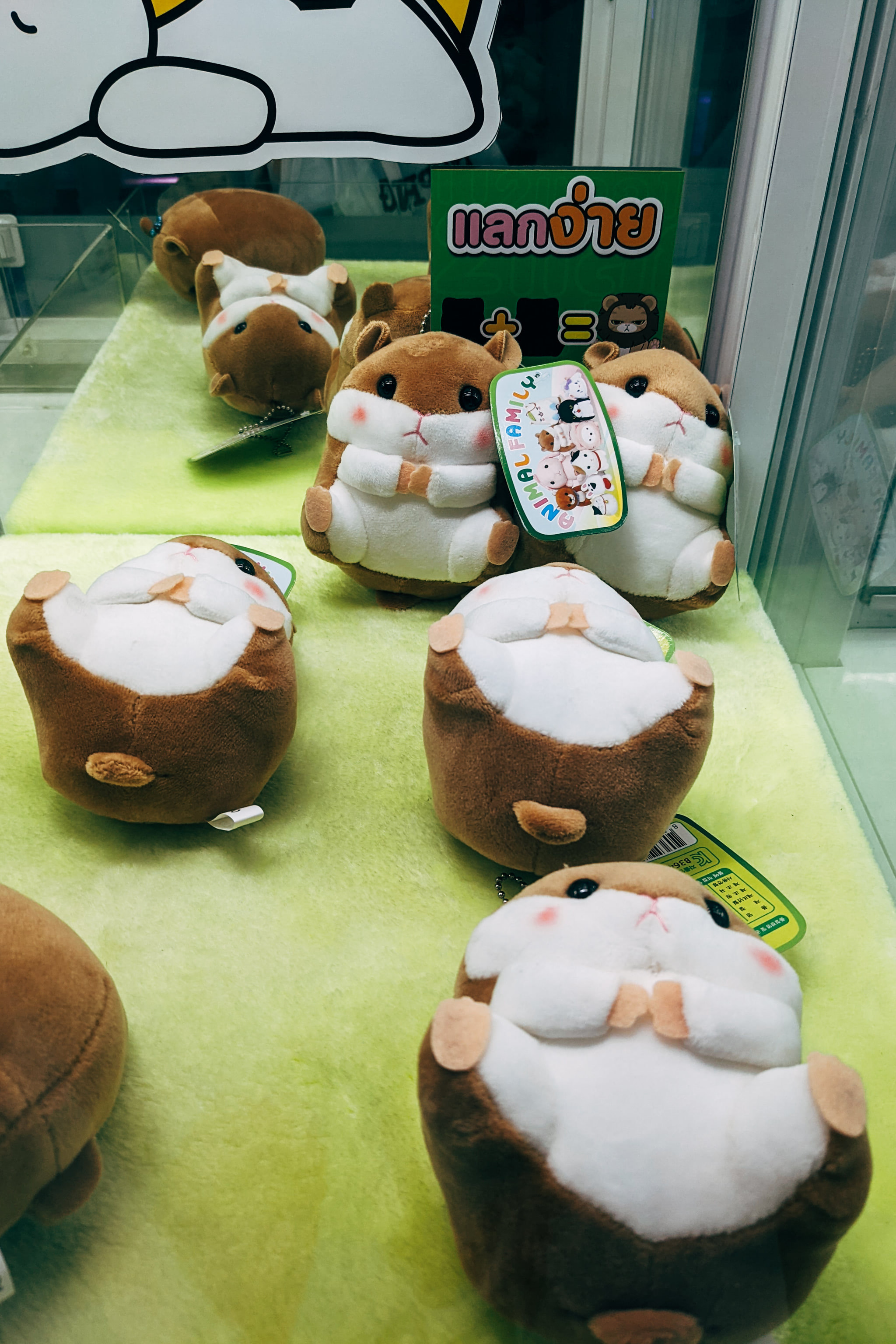 Several plush hamster toys displayed inside a glass claw machine prize cabinet.