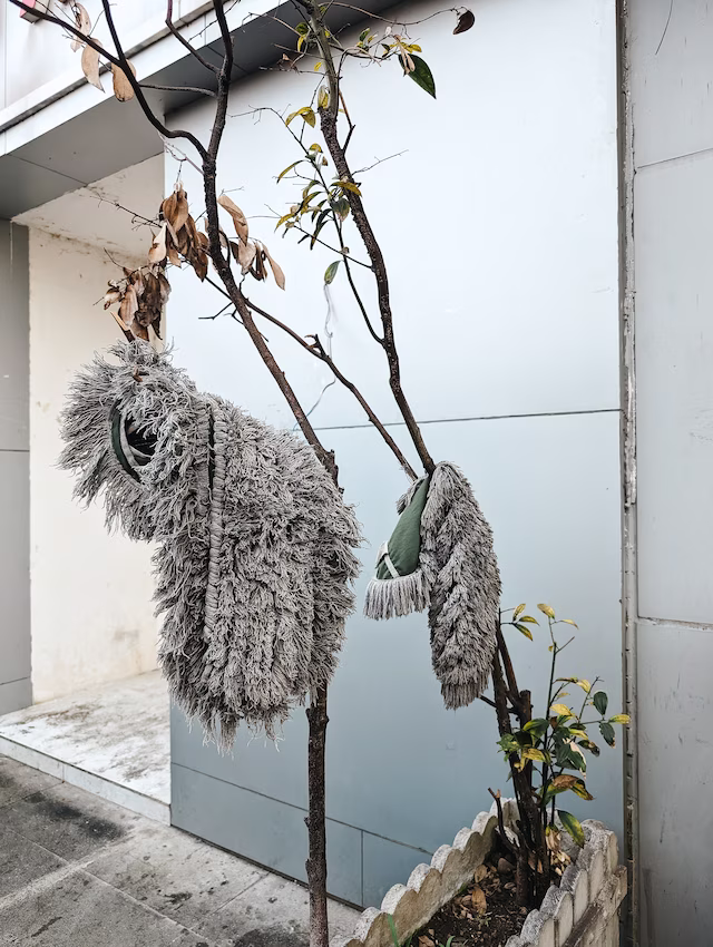 Two mop heads hanging from a small tree branch against a building wall