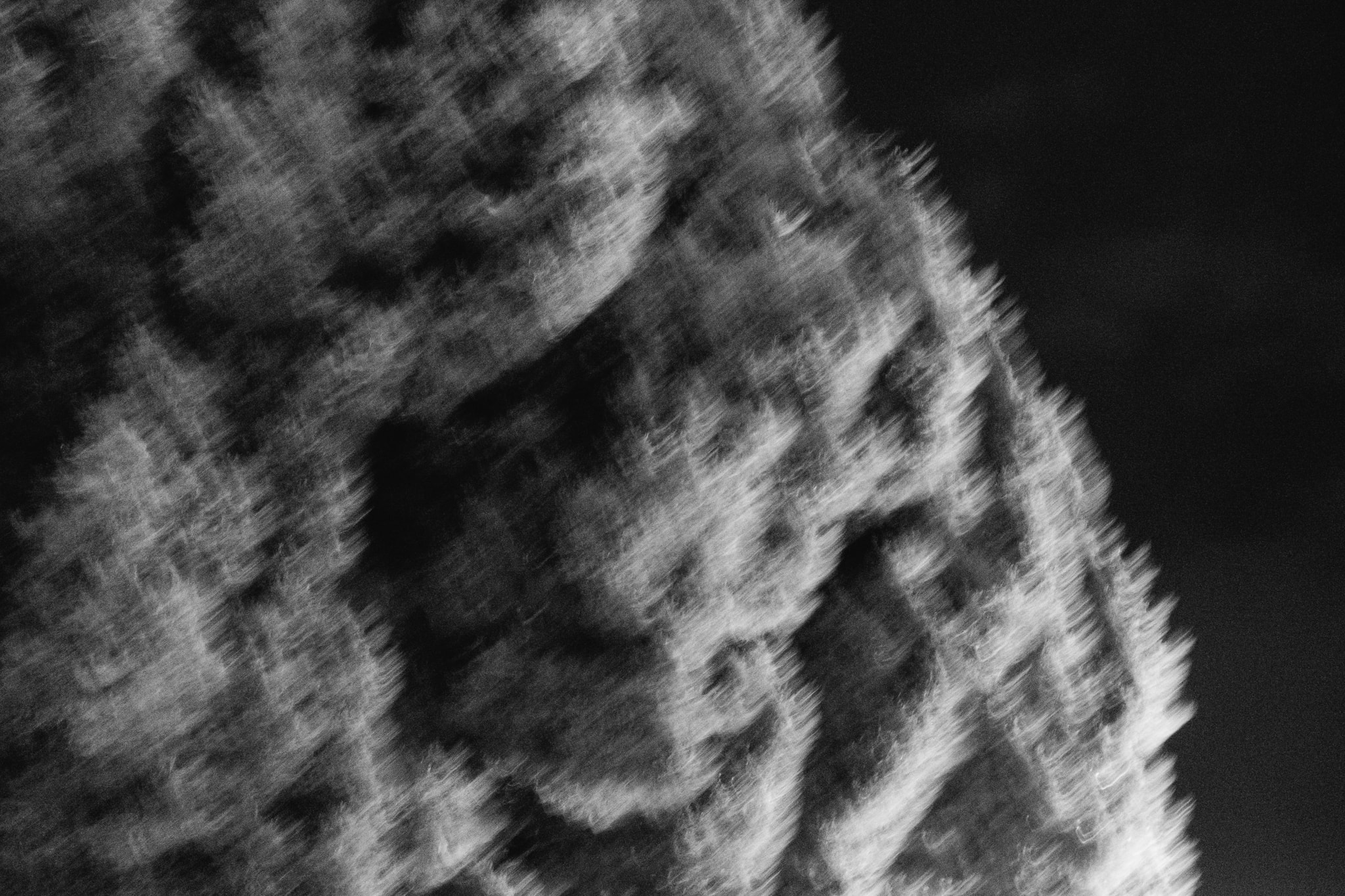 Abstract black and white motion blur landscape with streaked textures