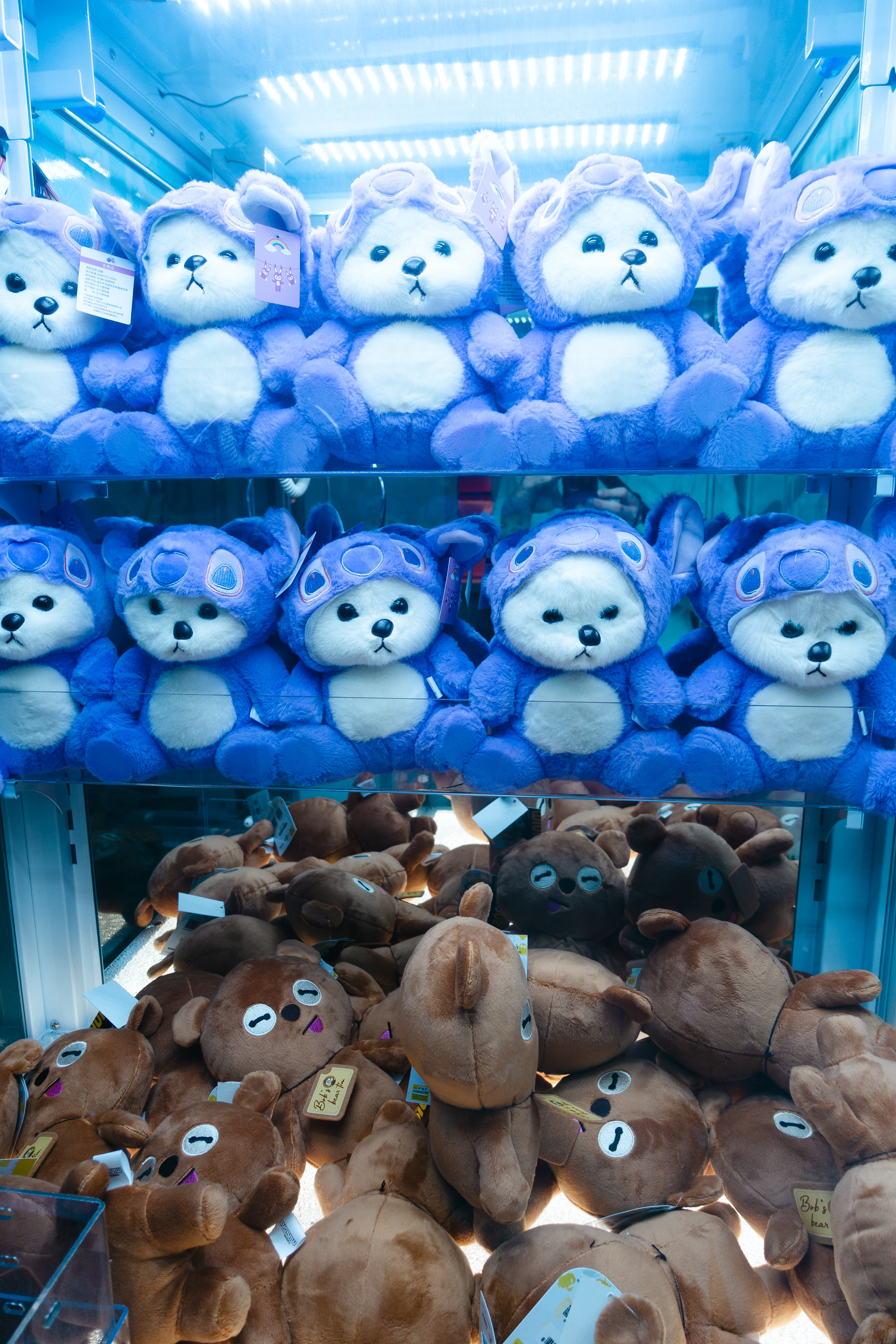 Rows of plush toys with purple character hoods on top shelves and brown bear dolls below in a claw machine.