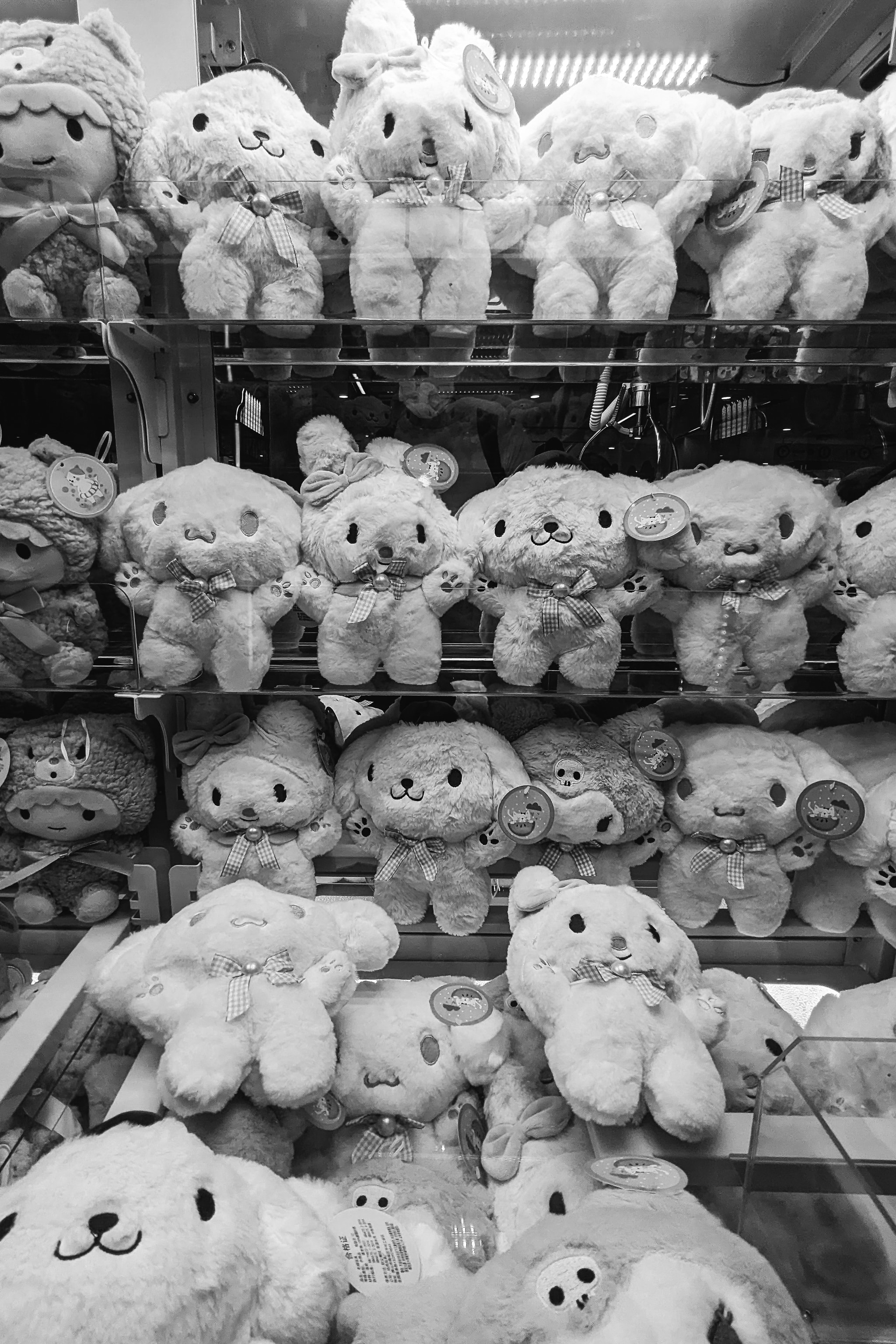 shelves of white plush teddy bears and bunny toys in a retail store display