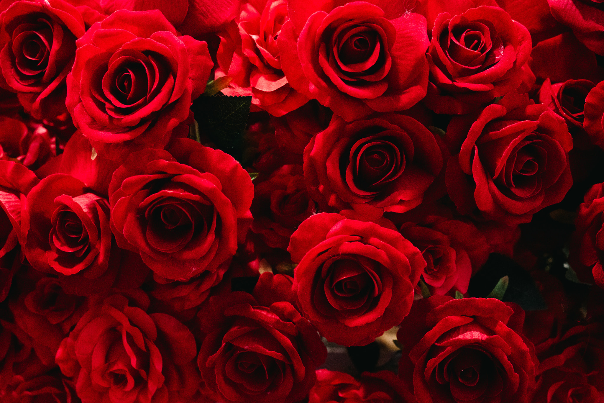 Dense arrangement of vibrant red roses filling the frame