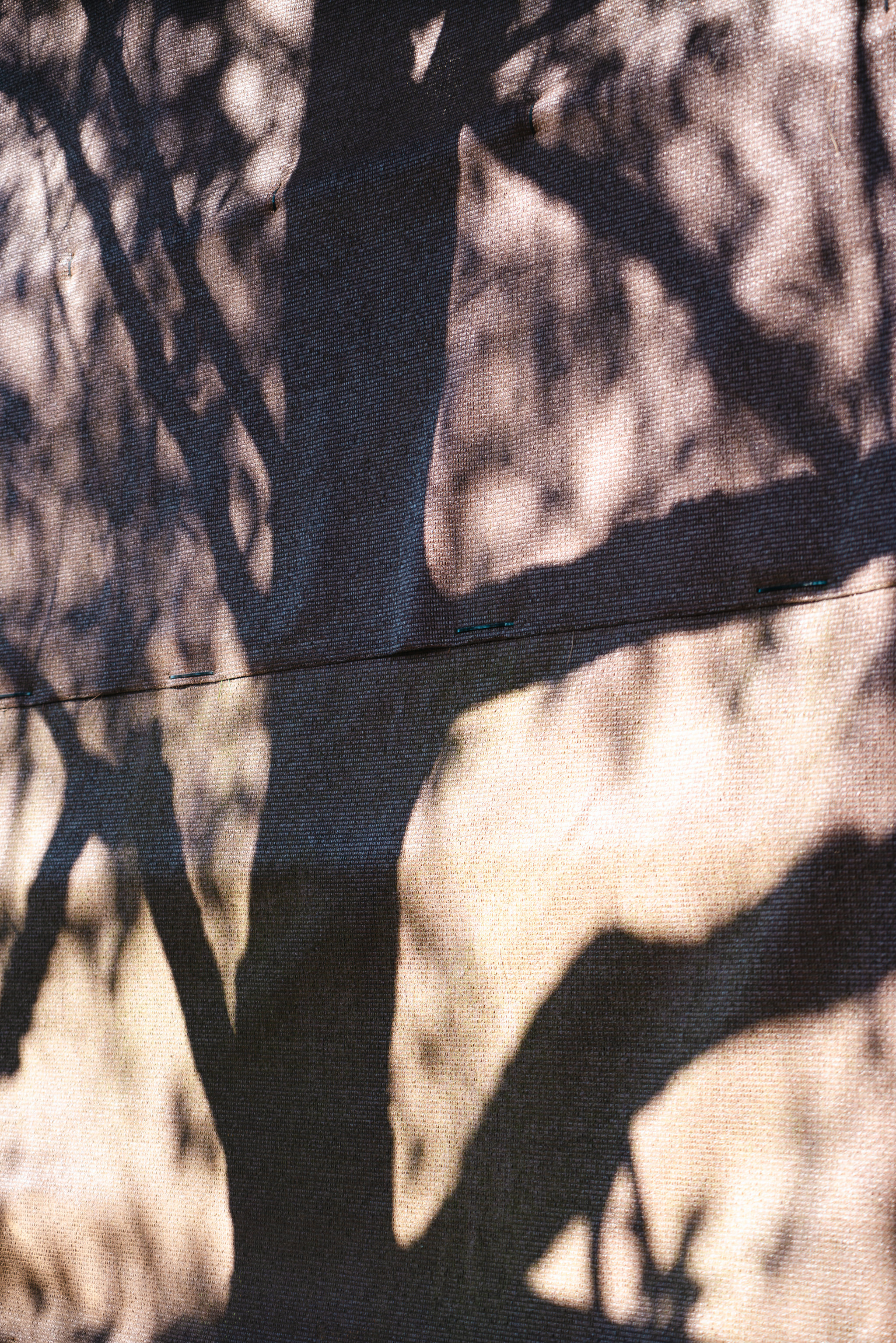 Tree shadows cast on fabric surface