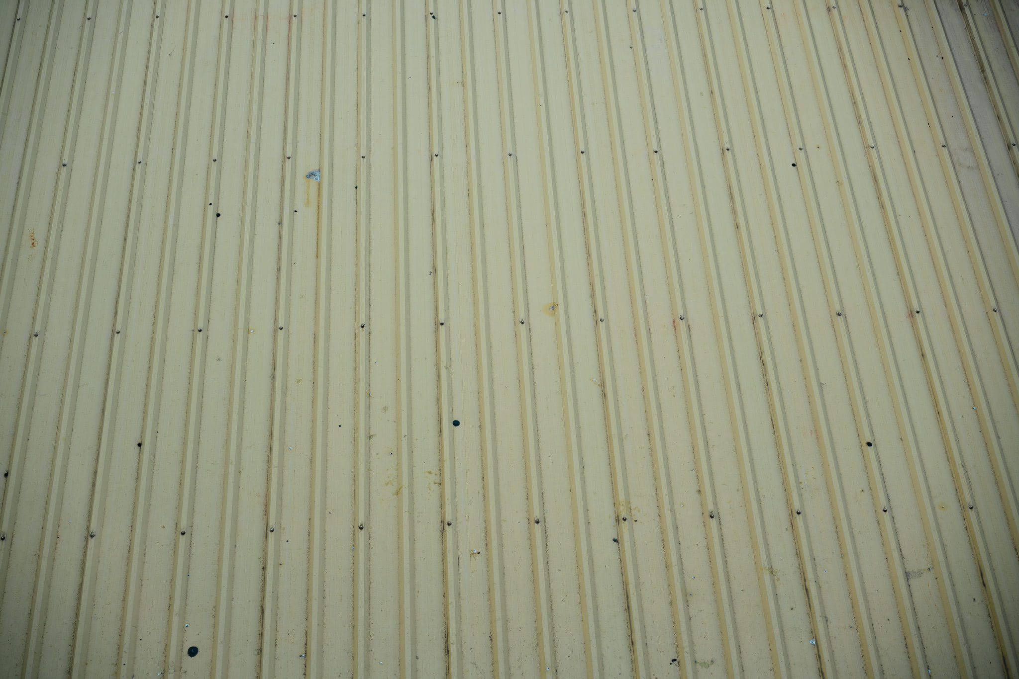 Full frame view of cream-colored corrugated metal siding with visible fasteners.