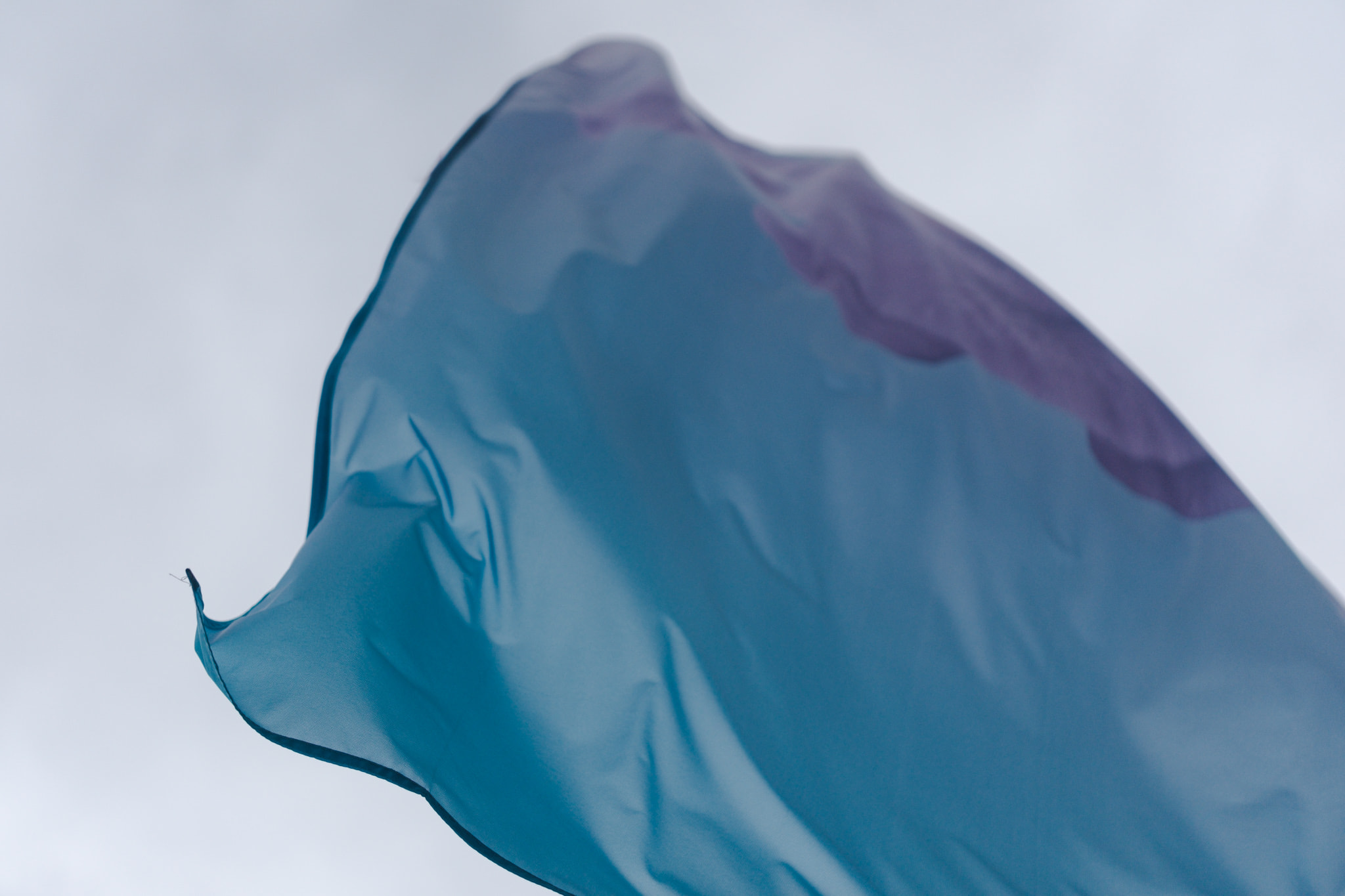 Blue and purple flag waving against pale sky