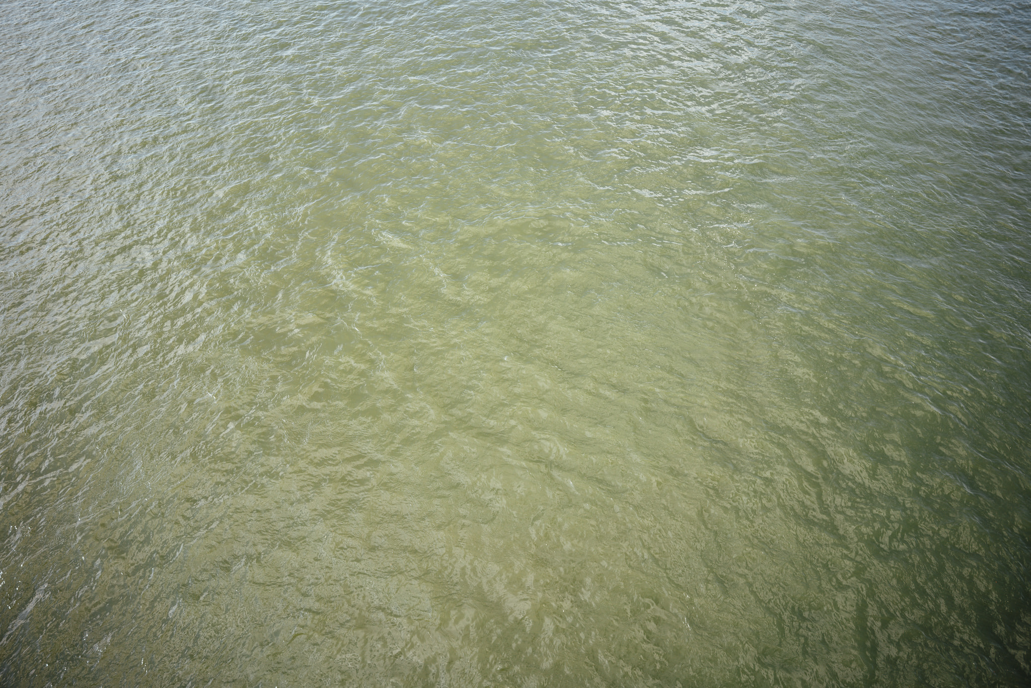 Top-down view of green rippling river water surface texture
